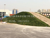 浦東國際賽車場假山